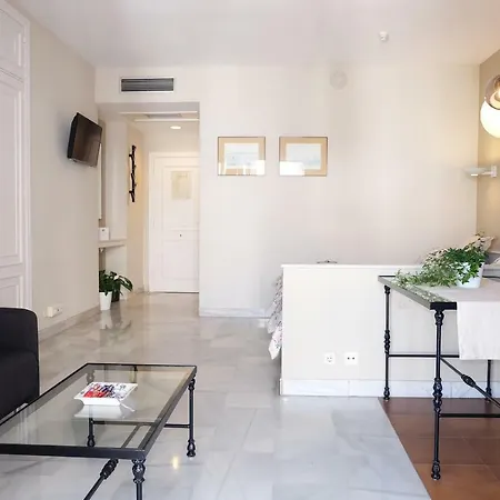 Studio Mimo Banus P.y.r. Lägenhet